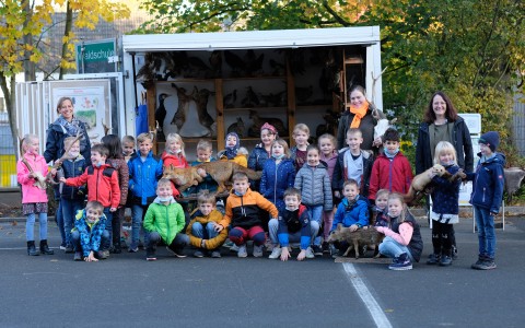 Waldschule 1