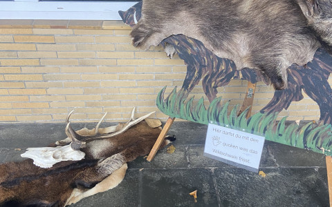 waldschule.jpg
