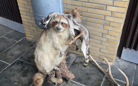 waldschule2.jpg