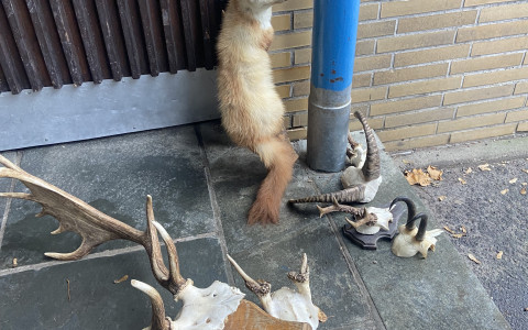 waldschule3.jpg